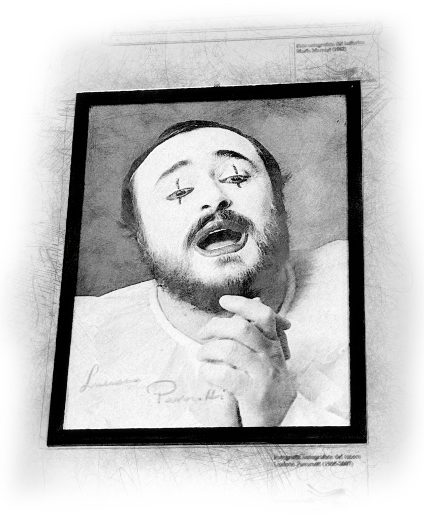 musaeMemore | Storie e Memoria della Musica Italiana