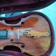 baricentro armonico - musaeMemore